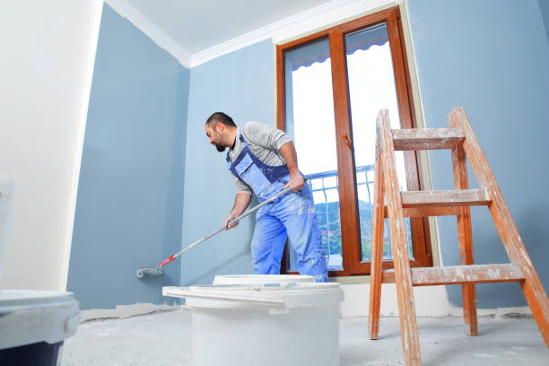 Best Attic Mold Removal  in Blanco, TX